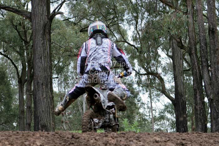 678x444 pixels (93K)